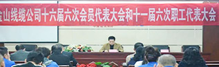 金山電纜公司新聞